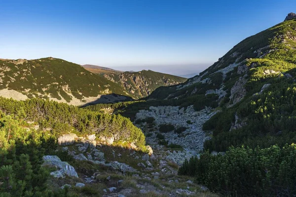 Beau Paysage Roches Vertes Couvertes Soleil Bulgarie — Photo