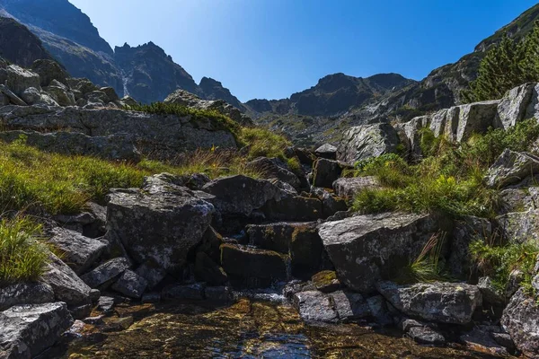 Невеликий Струмок Річки Маливіца Мохоподібних Каменях Національному Парку Рила Болгарія — стокове фото