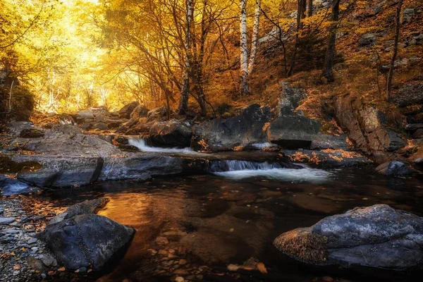 Een Beekje Stenen Met Gevallen Bladeren Het Bos Herfst — Stockfoto