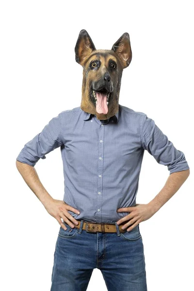 Vertikal Skott Hane Hund Mask Hålla Händerna Midjan — Stockfoto