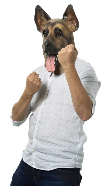 Uma Pessoa Roupas Casuais Uma Máscara Cão Demonstrando Força Fundo — Fotografia de Stock
