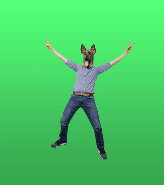 Person Casual Clothing Dog Mask Hands Green Background — Stock Photo, Image