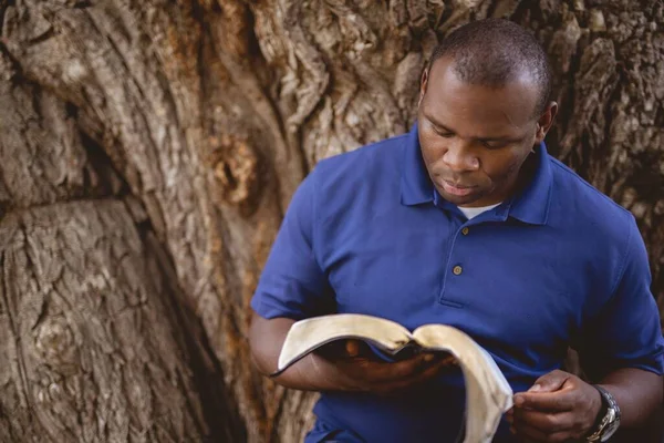 Primer Plano Hombre Afroamericano Leyendo Una Biblia Con Árbol Fondo — Foto de Stock