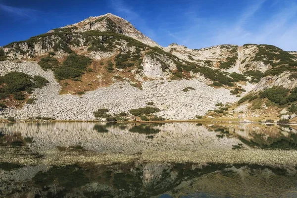 Bukit Bukit Berbatu Dengan Pohon Hijau Dari Pirin Gunung Bulgaria — Stok Foto