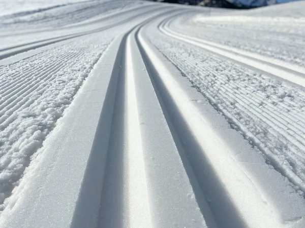 Längdskidspår Och Perfekt Solig Dag — Stockfoto