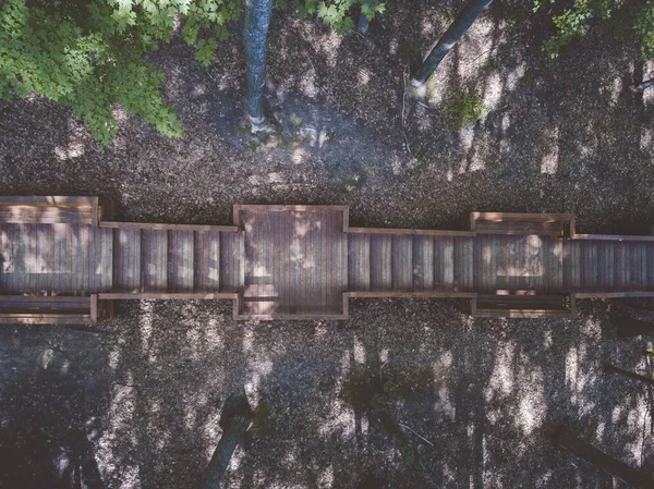 Überkopfschuss Einer Holztreppe Inmitten Von Bäumen — Stockfoto