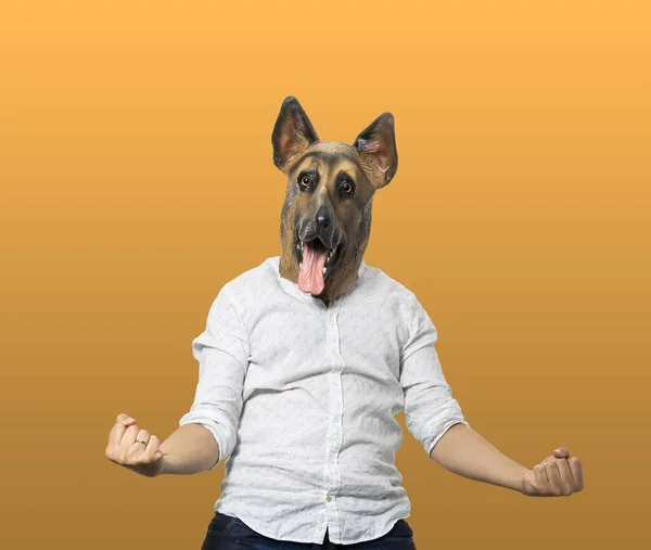 Person Casual Clothing Dog Mask Demonstrating Strength Orange Background — Stock Photo, Image