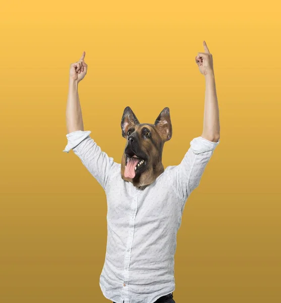 オレンジ色の背景に手を挙げているカジュアルな衣服と犬のマスクの人 — ストック写真