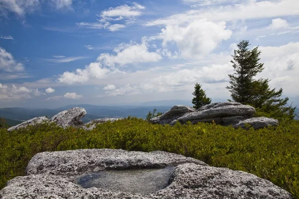 Eine Wasserpfütze Auf Felsformationen Bei Bear Rocks Mit Windgewehten Bäumen — Stockfoto