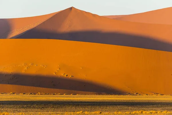 Sok Gyönyörű Homokdűne Van Namíbiában Namib Sivatagban — Stock Fotó