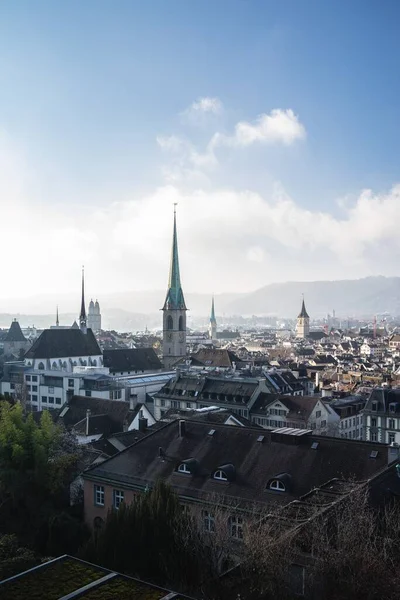 Uno Scatto Verticale Del Paesaggio Urbano Zurigo Svizzera Con Tetti — Foto Stock