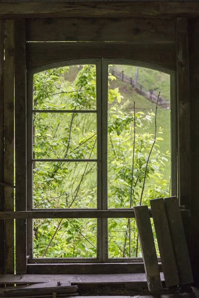 木制窗户 你可以从那里看到茂密的植被和浓密的绿色森林 — 图库照片