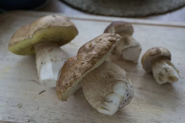 Primo Piano Funghi Una Superficie Legno — Foto Stock