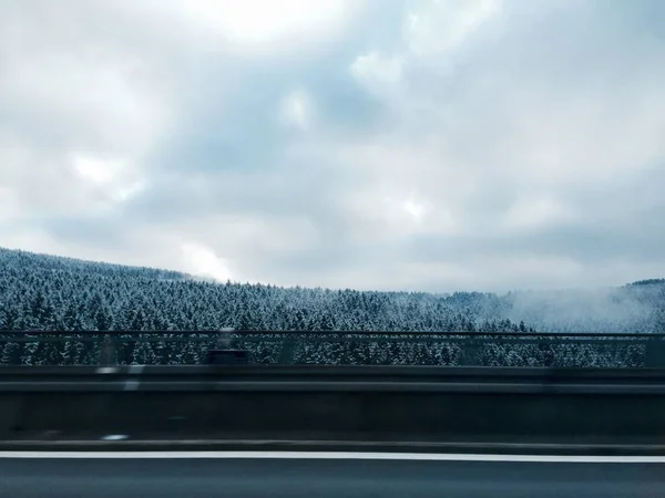 在乌云密布的天空下 几棵被雪覆盖的树的广角镜头 — 图库照片