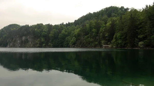 Озеро Оточене Лісами Деревами Відображають Воду Вдень — стокове фото