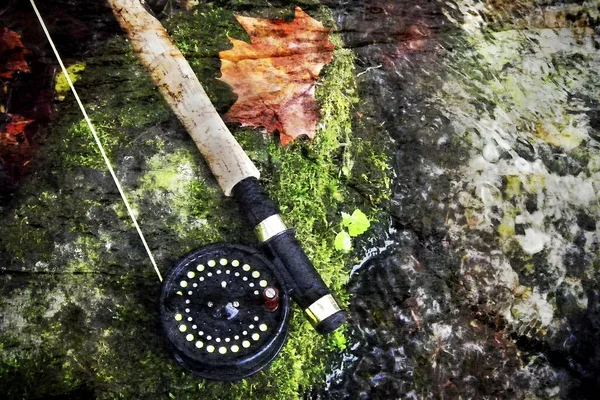 High Angle Closeup Shot Flyrod Mossy Rock Streamside — Stock Photo, Image