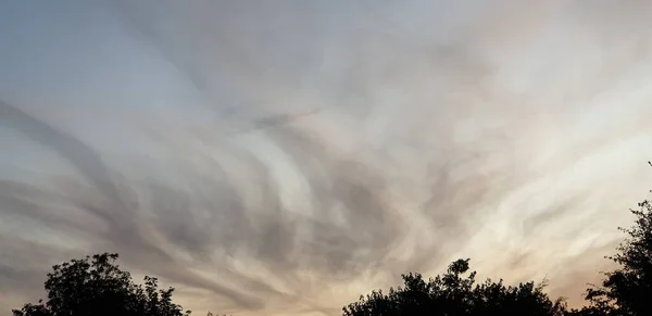 Tiro Ângulo Baixo Céu Cinza Nublado Com Árvores Visíveis Abaixo — Fotografia de Stock