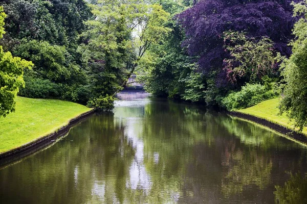 Vacker Bild Kanal Med Träd Reflekteras Vattnet — Stockfoto