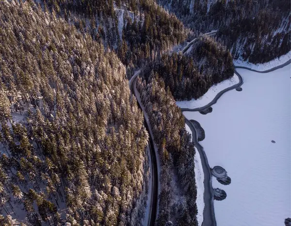 Горы Леса Покрытые Снегом Трансильвании Румыния — стоковое фото