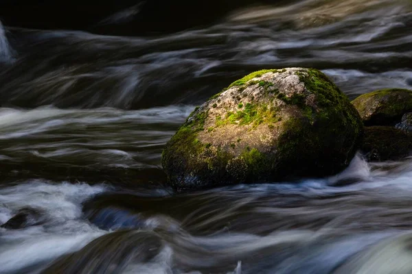 Una Piedra Cubierta Musgo Lago Con Agua Borrosa — Foto de Stock
