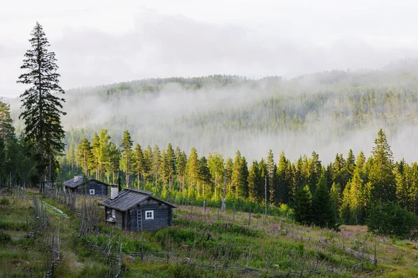 Bosque Cubierto Niebla Una Sola Casa Suecia —  Fotos de Stock