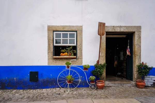 포르투갈의 도스에 식물에둘러 파란색 벽으로 둘러싸인 — 스톡 사진