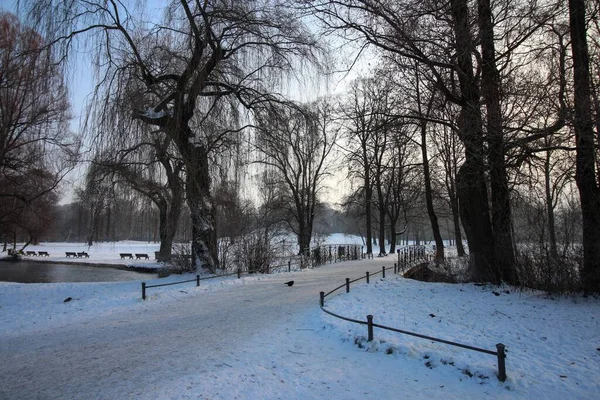 Een Wandelpad Omringd Door Houten Hekken Bomen Bedekt Met Sneeuw — Stockfoto