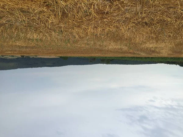 Vacker Bild Ett Fält Fullt Torr Halm Den Blå Himlen — Stockfoto