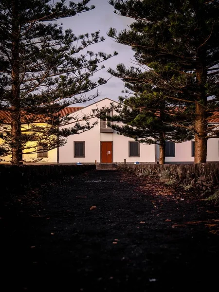 Long Plan Chemin Entre Les Arbres Vers Une Maison — Photo