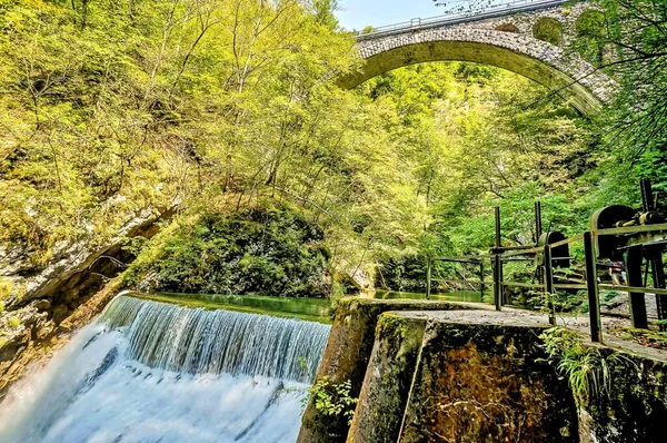 Красивый Снимок Водопада Окружении Зеленых Деревьев Словении Европа — стоковое фото