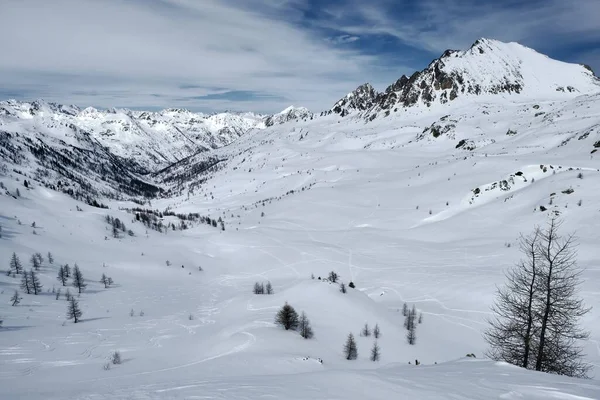 Tiro Ângulo Baixo Uma Montanha Florestada Coberta Neve Caminhos Sob — Fotografia de Stock