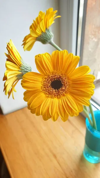Ein Vertikaler Schuss Gelber Blumen Der Glasvase Fenster Einem Sonnigen — Stockfoto