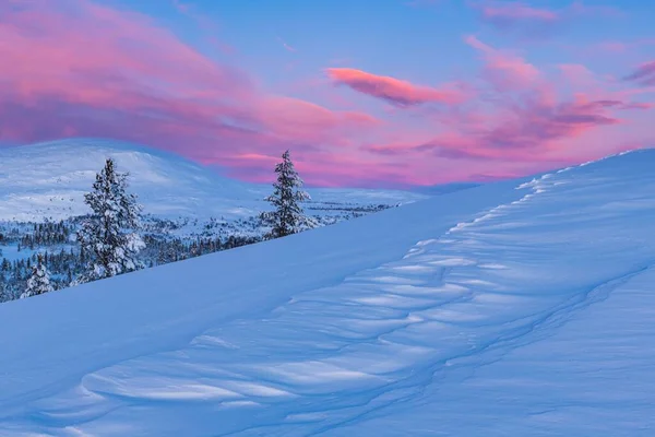 ノルウェーの日没時に雪に覆われた森の息をのむような景色 — ストック写真