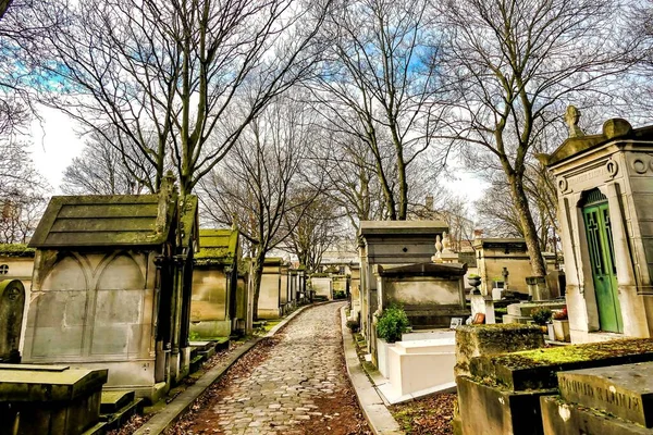 Pathway Middle Graves Surrounded Trees — Stock Photo, Image