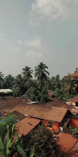 Plan Vertical Des Toits Des Maisons Village Avec Des Cocotiers — Photo