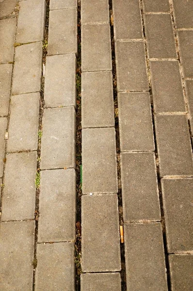 Eine Vertikale Aufnahme Der Rechteckigen Fliesen Des Bodens — Stockfoto