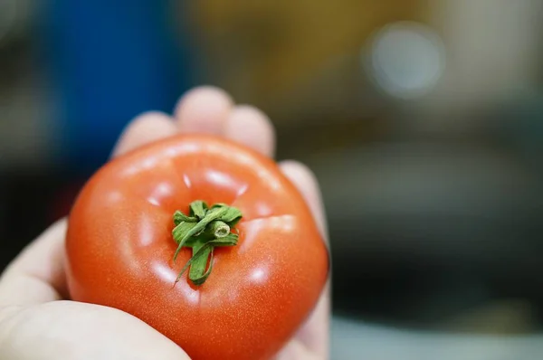 Plan Rapproché Une Personne Tenant Une Tomate Dans Air — Photo