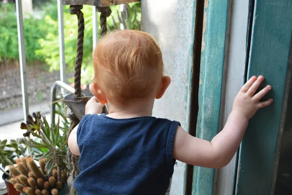 昼間に家の植物と遊ぶ可愛い赤ちゃんの後ろのショット — ストック写真