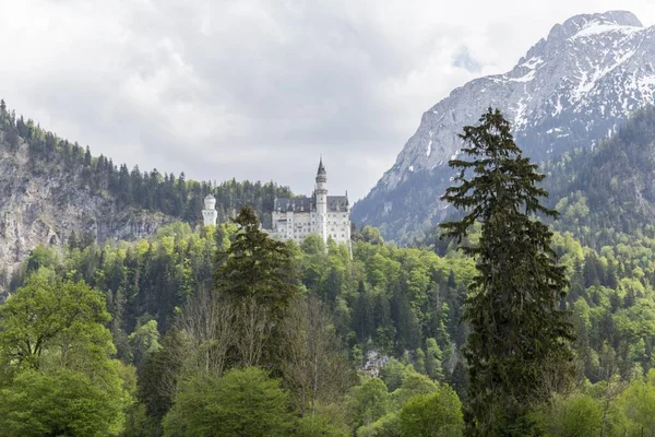 Paisagem Impressionante Castelo Neuschwanstein Rodeado Por Natureza Abundante Nas Montanhas — Fotografia de Stock