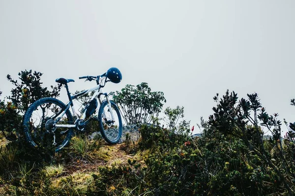 Uma Bicicleta Com Capacete Estacionado Perto Das Plantas Verdes — Fotografia de Stock