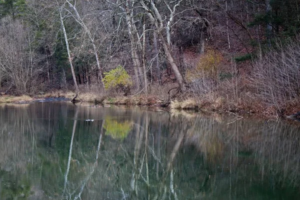 Den Vackra Reflektionn Vinterträd Södra Grenen Potomac River Smoke Hole — Stockfoto