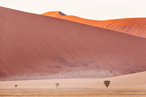 Een Prachtig Landschap Van Zandduinen Namibische Woestijn Sossusvlei Namibië — Stockfoto