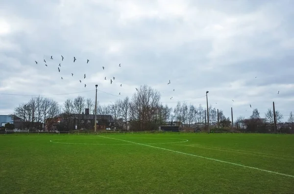 Прекрасный Снимок Футбольного Поля Стаей Птиц Летящих Облачном Небе — стоковое фото