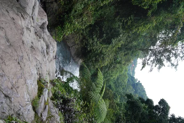 Вертикальна Картина Річки Оточеної Скелями Лісі Вдень — стокове фото