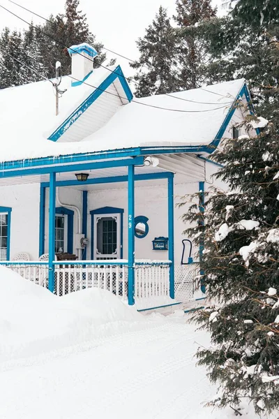 Вертикальний Знімок Будинку Вкритого Білим Снігом Взимку — стокове фото