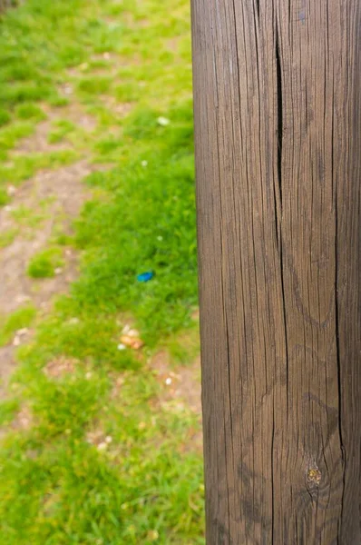 Vertical Closeup Shot Tree Log Grassy Field Background — Stock Photo, Image