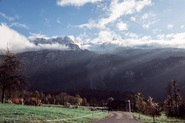 Paisaje Los Campos Llenos Árboles Con Montañas Fondo Suiza — Foto de Stock