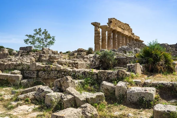 イタリアのシチリア島にあるセリヌンテ考古学公園のアポロ神殿の遺跡 — ストック写真