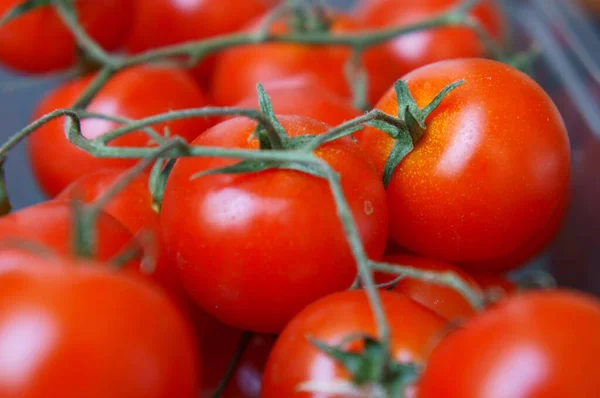 Eine Nahaufnahme Von Kirschtomaten Einem Plastikbehälter — Stockfoto