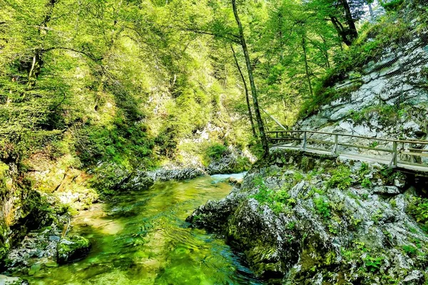 Een Prachtige Opname Van Een Rivier Het Midden Van Kliffen — Stockfoto